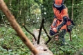 Pilarka łańcuchowa Husqvarna 550 XP® Mark II
