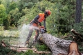 Pilarka łańcuchowa Husqvarna 550 XP® Mark II