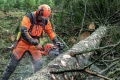 Pilarka łańcuchowa Husqvarna 550 XP® Mark II