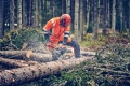 Pilarka łańcuchowa  Husqvarna 560 XP® Mark II
