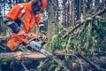 Pilarka łańcuchowa  Husqvarna 560 XP® Mark II