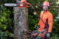 Pilarka łańcuchowa  Husqvarna® 545 Mark II