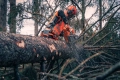 Pilarka łańcuchowa HUSQVARNA 592 XP®