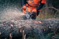 Pilarka łańcuchowa HUSQVARNA 592 XP®