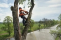 Pilarka łańcuchowa  HUSQVARNA T540 XP® Mark III