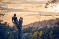 Pilarka łańcuchowa  HUSQVARNA T540 XP® Mark III