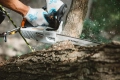 Pilarka łańcuchowa STIHL MS 194 T