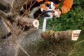 Pilarka łańcuchowa STIHL MS 201 TC-M