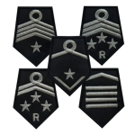 Dystynkcja do munduru OSP (para)